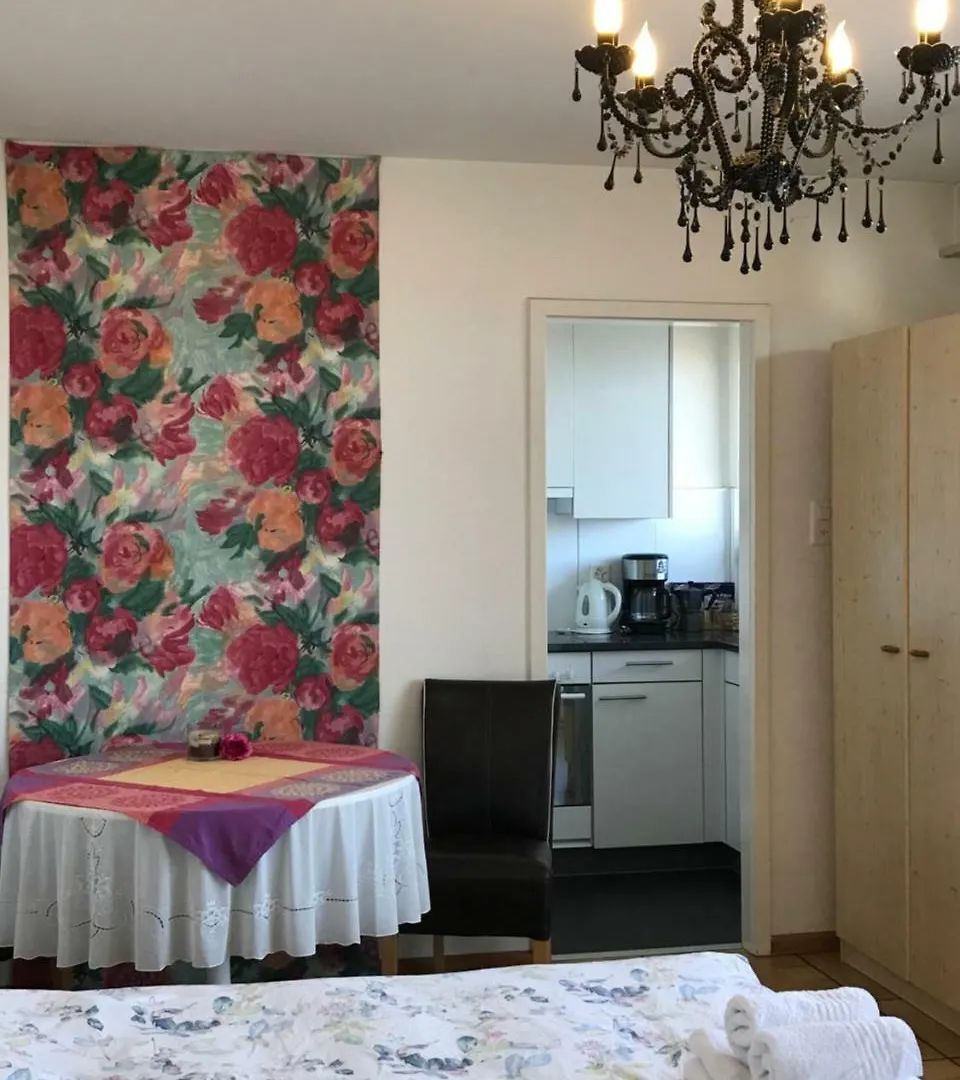 Center Basel Appartement